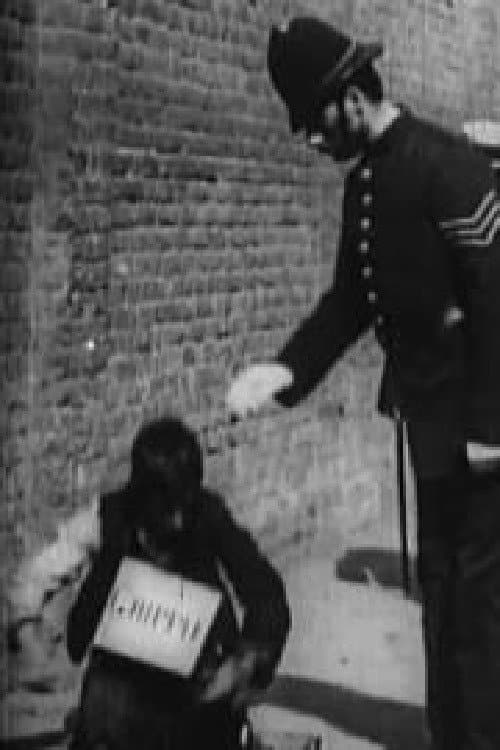 Poster for The Beggar's Deceit