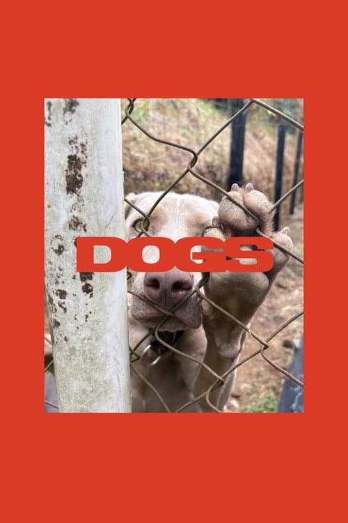 Poster for DOGS