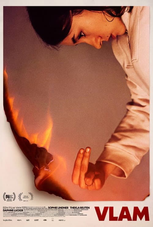 Poster for Vlam