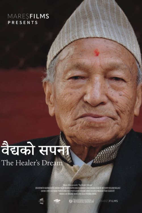 Poster for The Healer's Dream