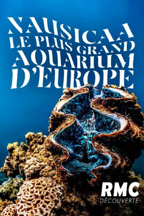 Poster for Nausicaa: The Largest Aquarium in Europe