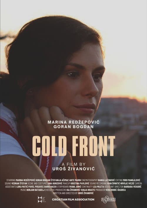 Poster for Cold Front