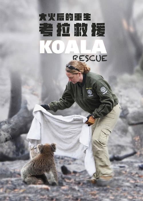 Poster for Koala Rescue