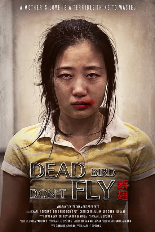 Poster for Dead Bird Don't Fly