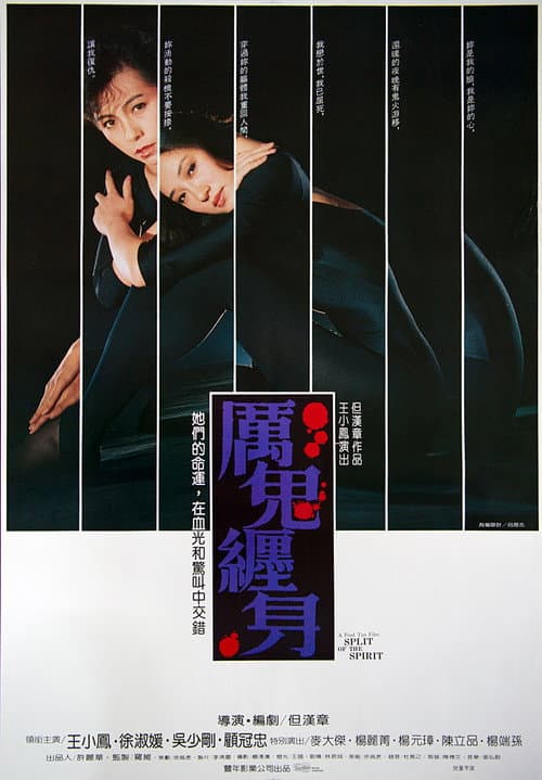 Poster for Split of the Spirit