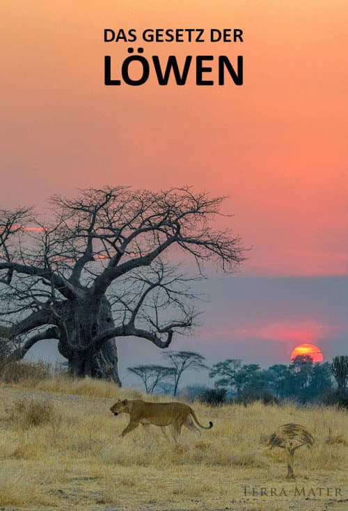 Poster for Das Gesetz der Löwen