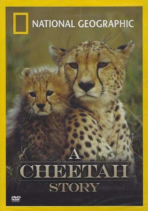 Poster for Cheetah Story