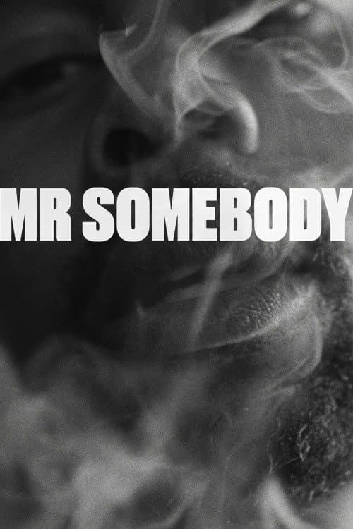 Poster for Mr Somebody
