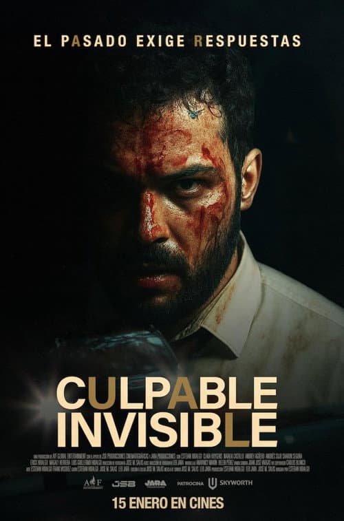 Poster for Culpable Invisible