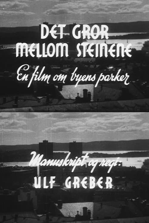 Poster for Oslofilm: Det gror mellom steinene