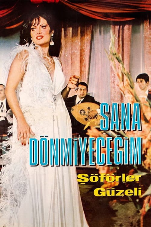 Poster for Sana Dönmeyeceğim