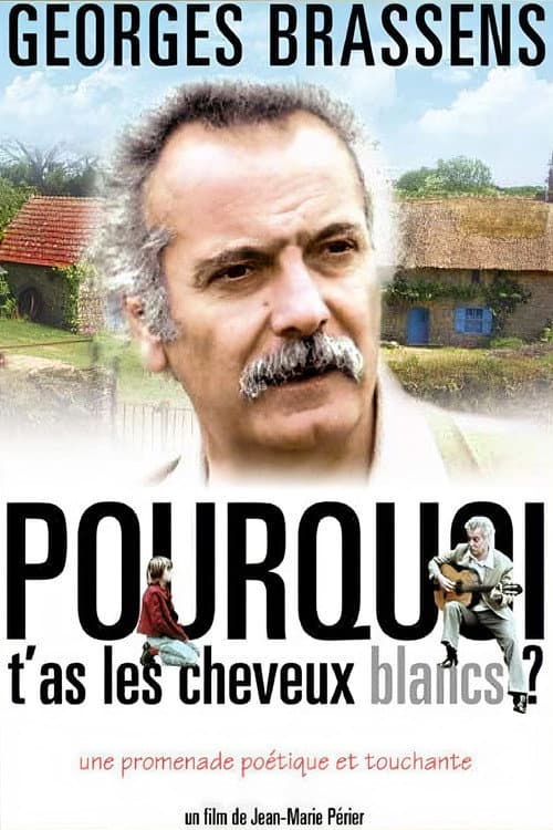 Poster for Pourquoi t'as les cheveux blancs...