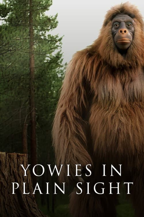 Poster for Yowies in Plain Sight