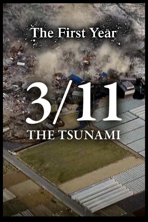 Poster for 3/11 - The Tsunami: The First Year