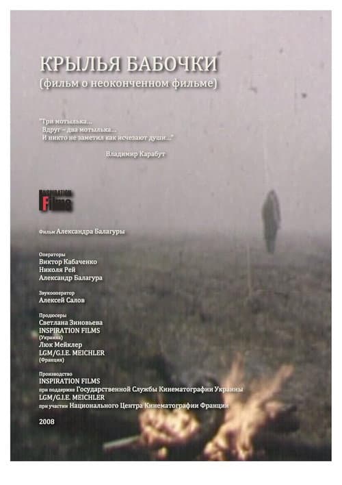 Постер до фільму «Крила метелика»
