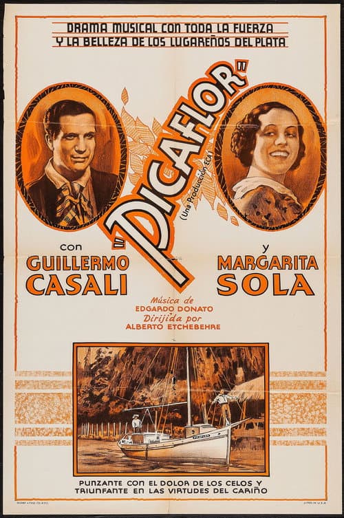 Poster for Picaflor