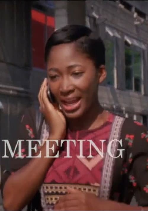 Poster for Chance Meeting