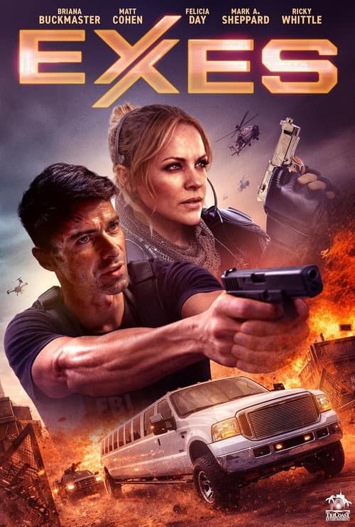 Poster for Exes