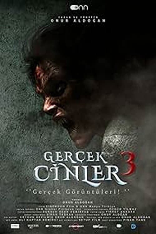 Poster for Gerçek Cinler 3