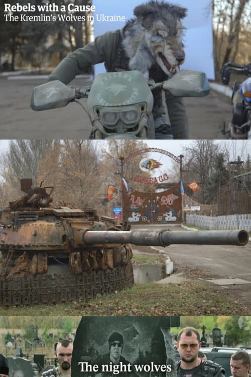 Poster for Rebels with a Cause: The Kremlin's Wolves in Ukraine