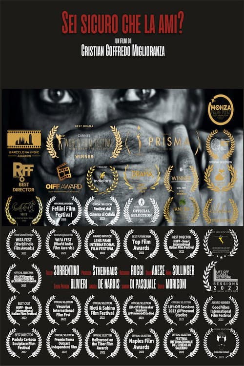 Poster for Sei sicuro che la ami?