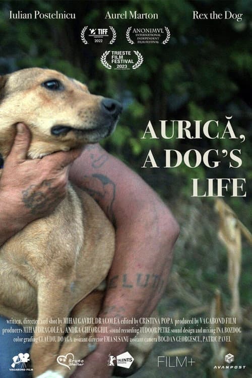 Poster for Aurica, a Dog's Life