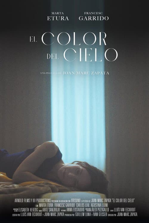 Poster for Color of Heaven