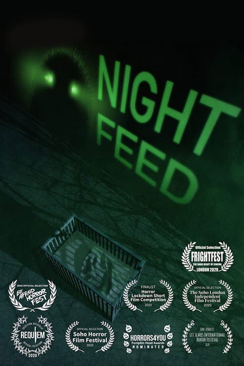 Poster for Night Feed