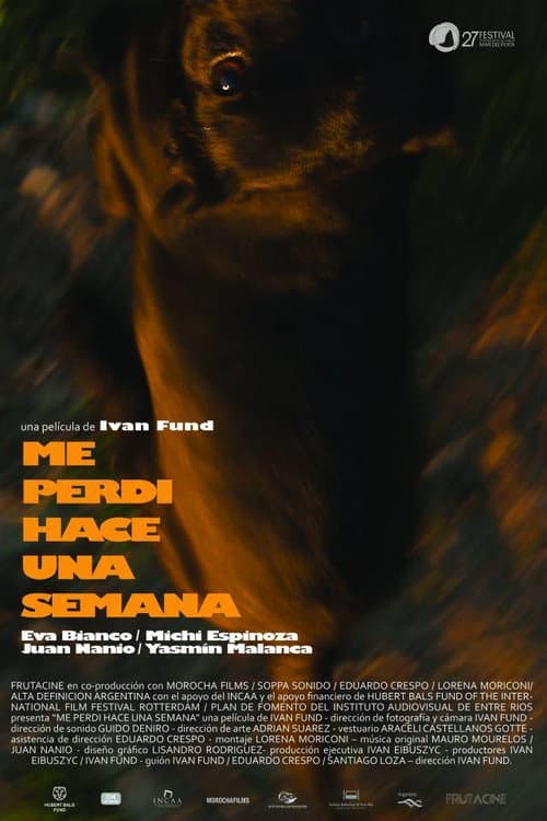 Poster for Me perdí hace una semana