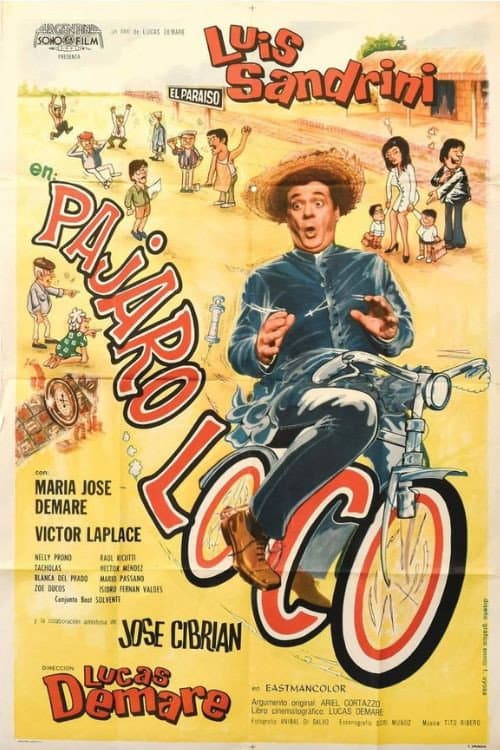 Poster for Pájaro loco