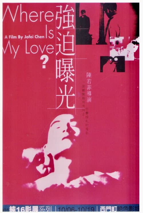 Poster for Where Is My Love?