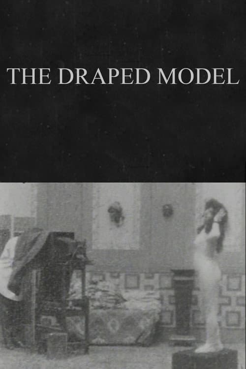 Постер до фільму «The Draped Model»