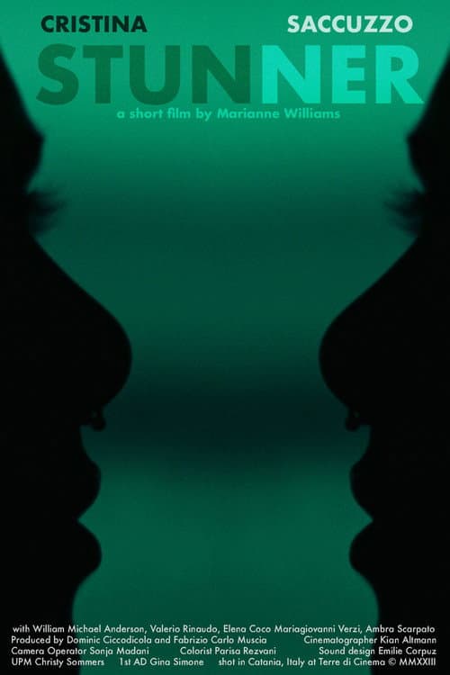 Poster for Stunner