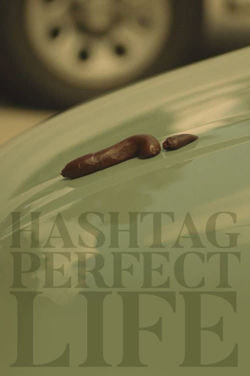 Poster for Hashtag Perfect Life