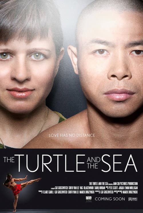 Poster for The Turtle and the Sea