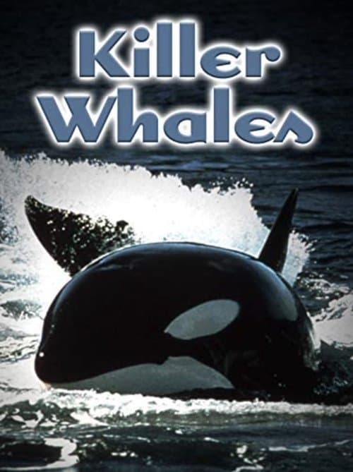 Poster for Killer Whales: Up Close and Personal