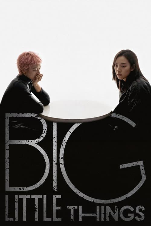 Poster for Big Little Things