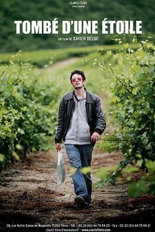 Poster for Tombé d'une étoile