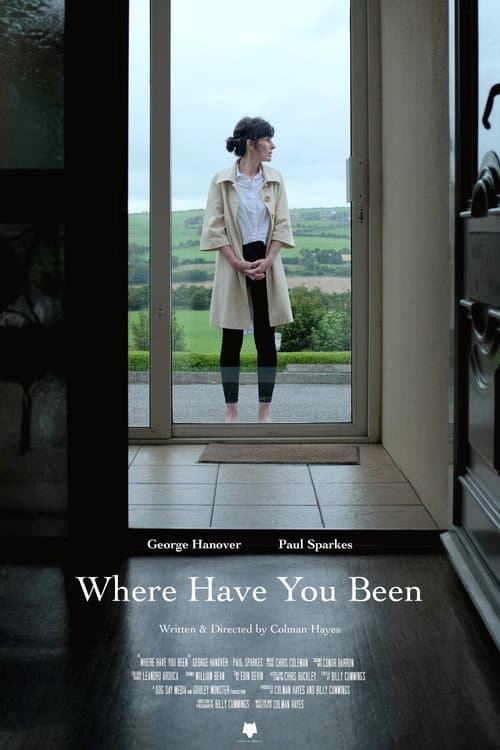 Poster for Where Have You Been