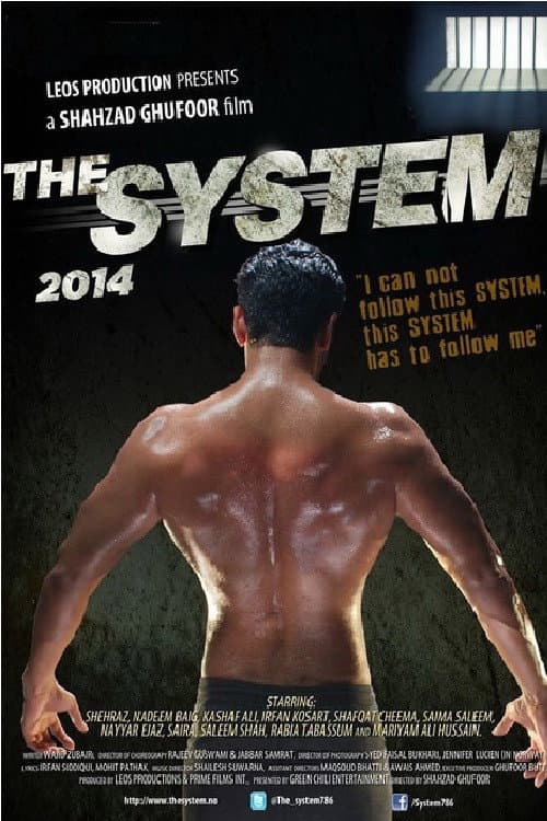 Poster for The System