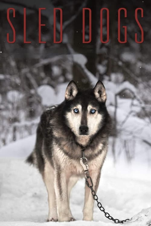 Poster for Sled Dogs