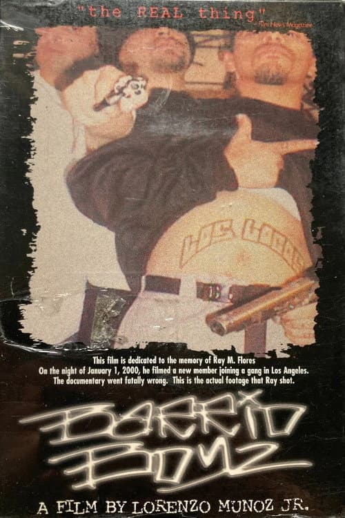 Poster for Barrio Boyz