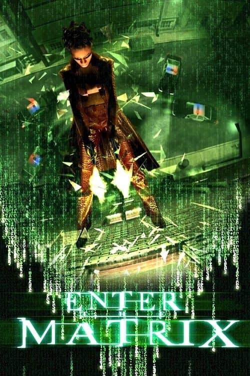 Poster for Making 'Enter the Matrix'