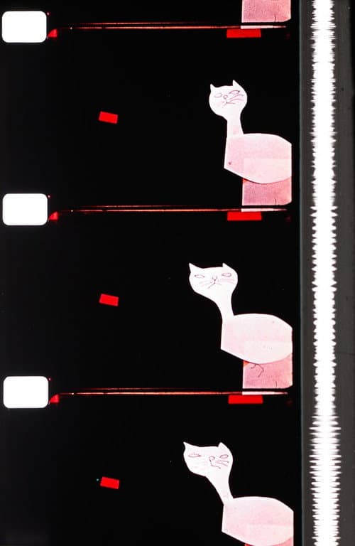 Poster for Cats