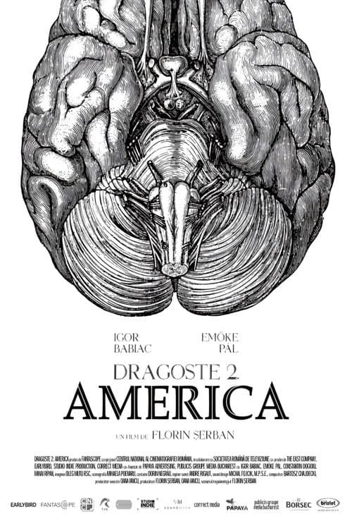 Poster for Love 2. America