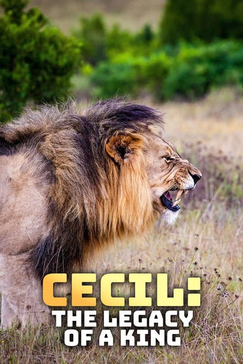 Poster for Cecil: The Legacy of a King