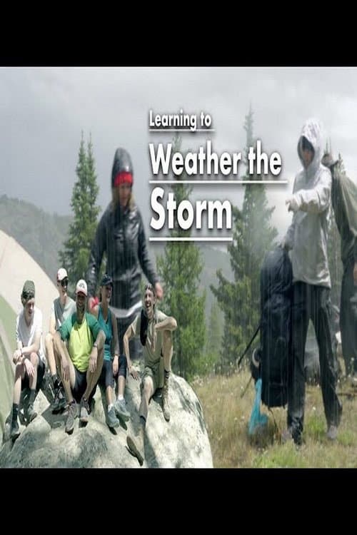 Poster for Learning to Weather the Storm