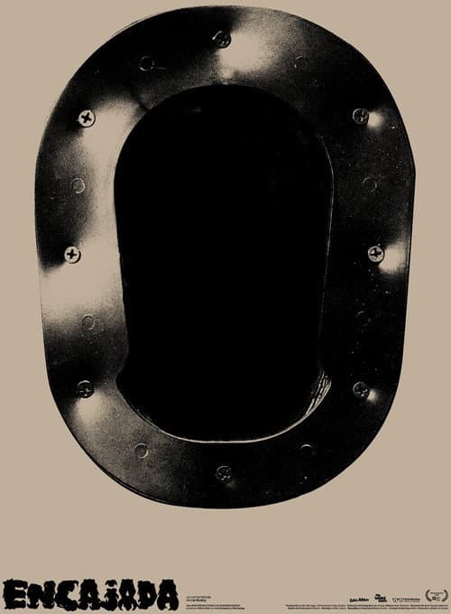Poster for Embedded