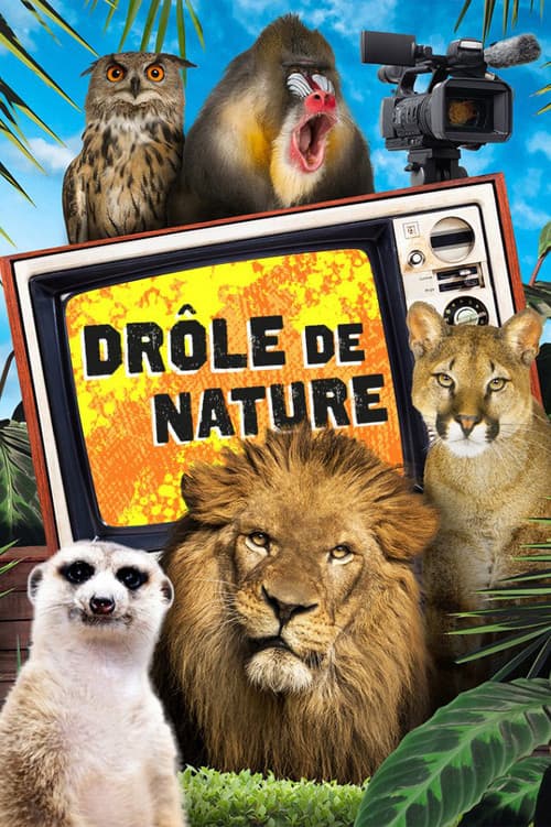 Poster for Bad Nature