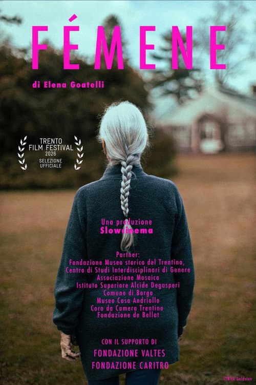 Poster for Fémene